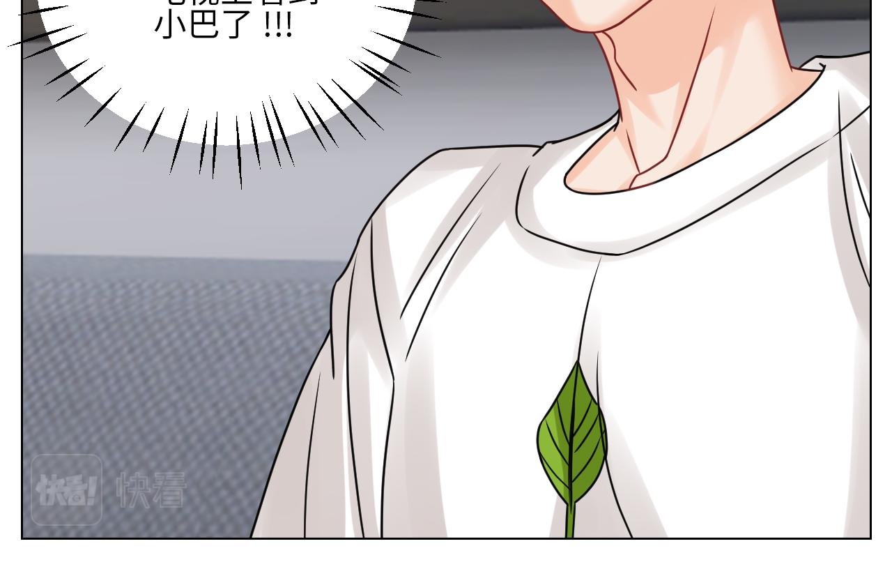 “巴叶”cp
