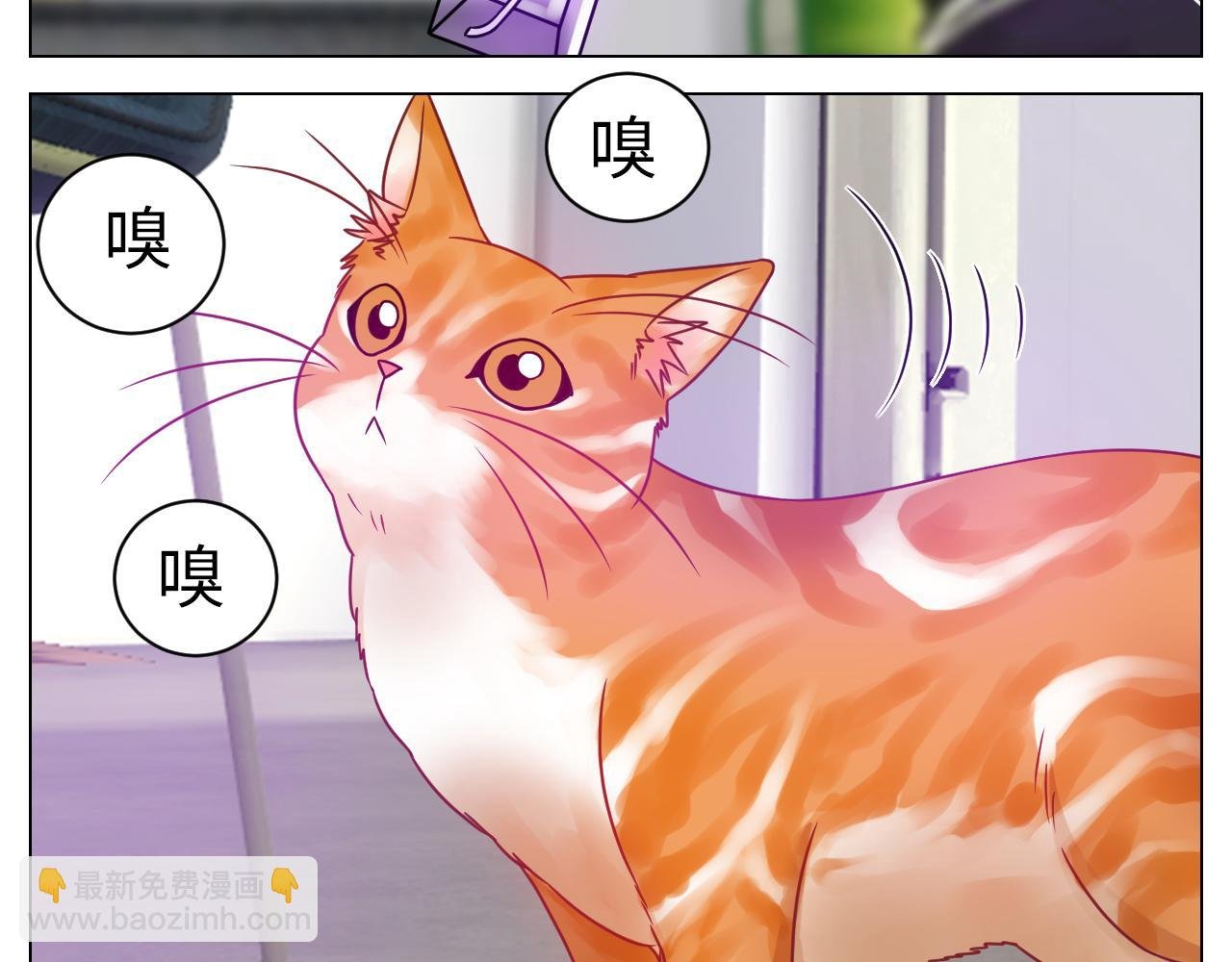 狮子（带局长）割蛋记