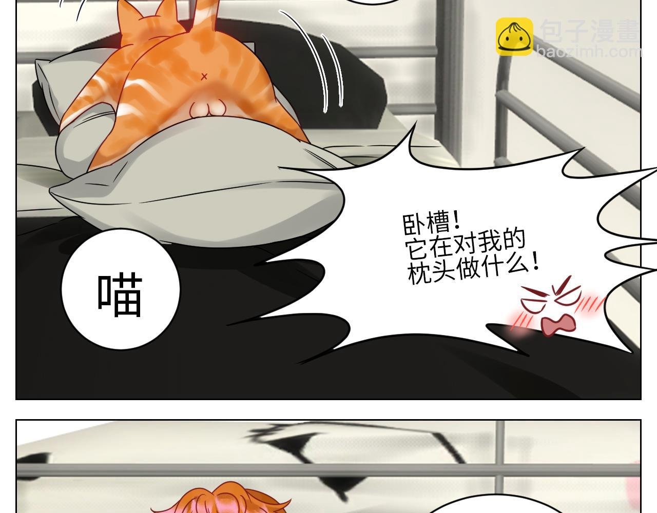 狮子（带局长）割蛋记