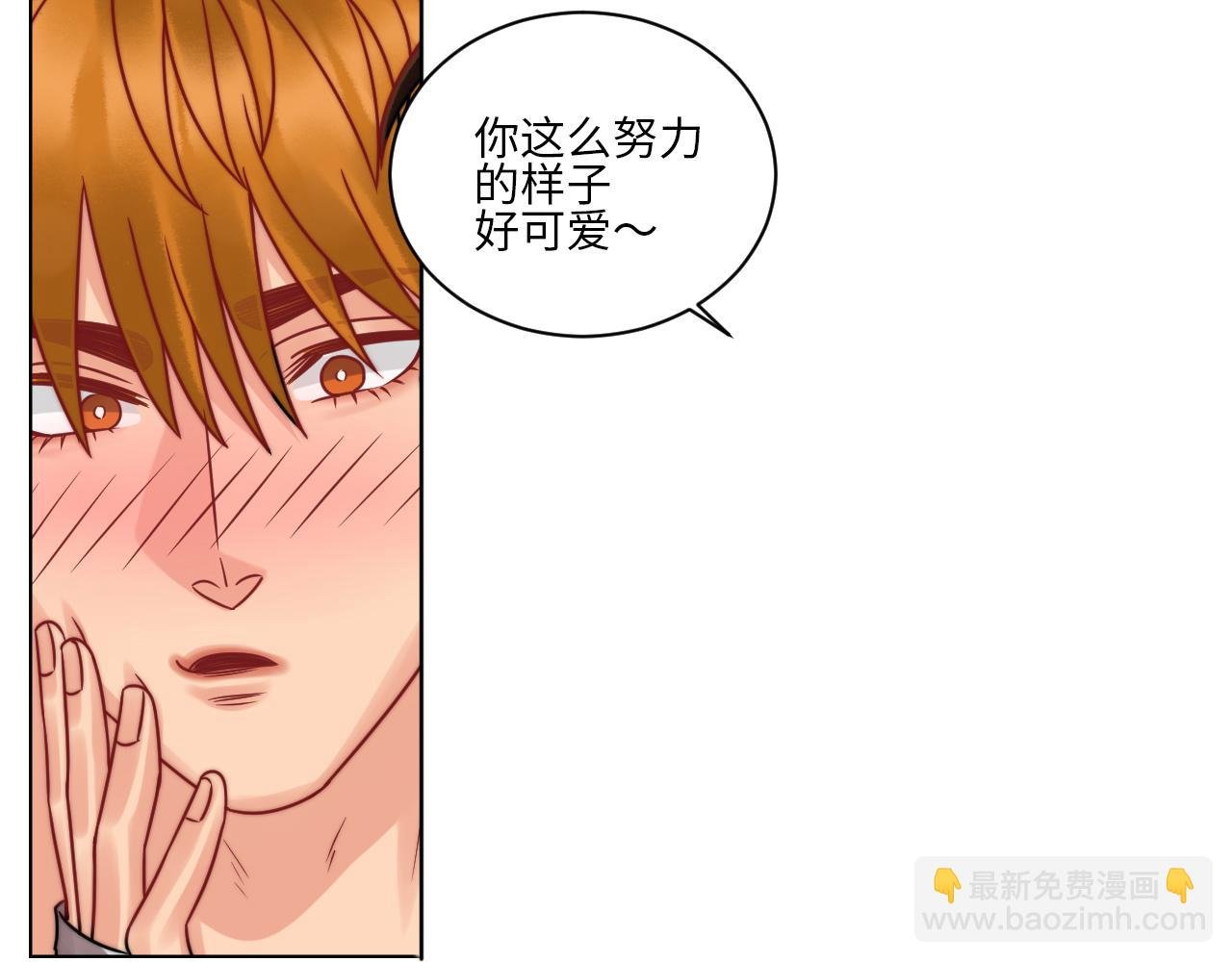 狮子喜欢游乐园