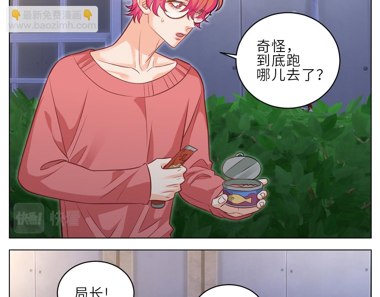 局长失踪竟是助攻？！