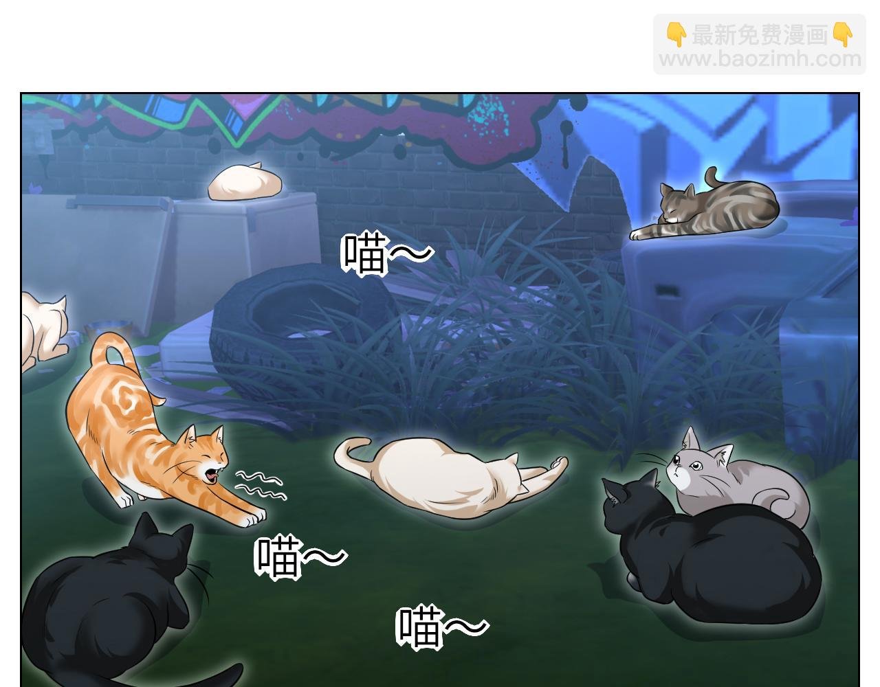 找到的可不止小猫咪
