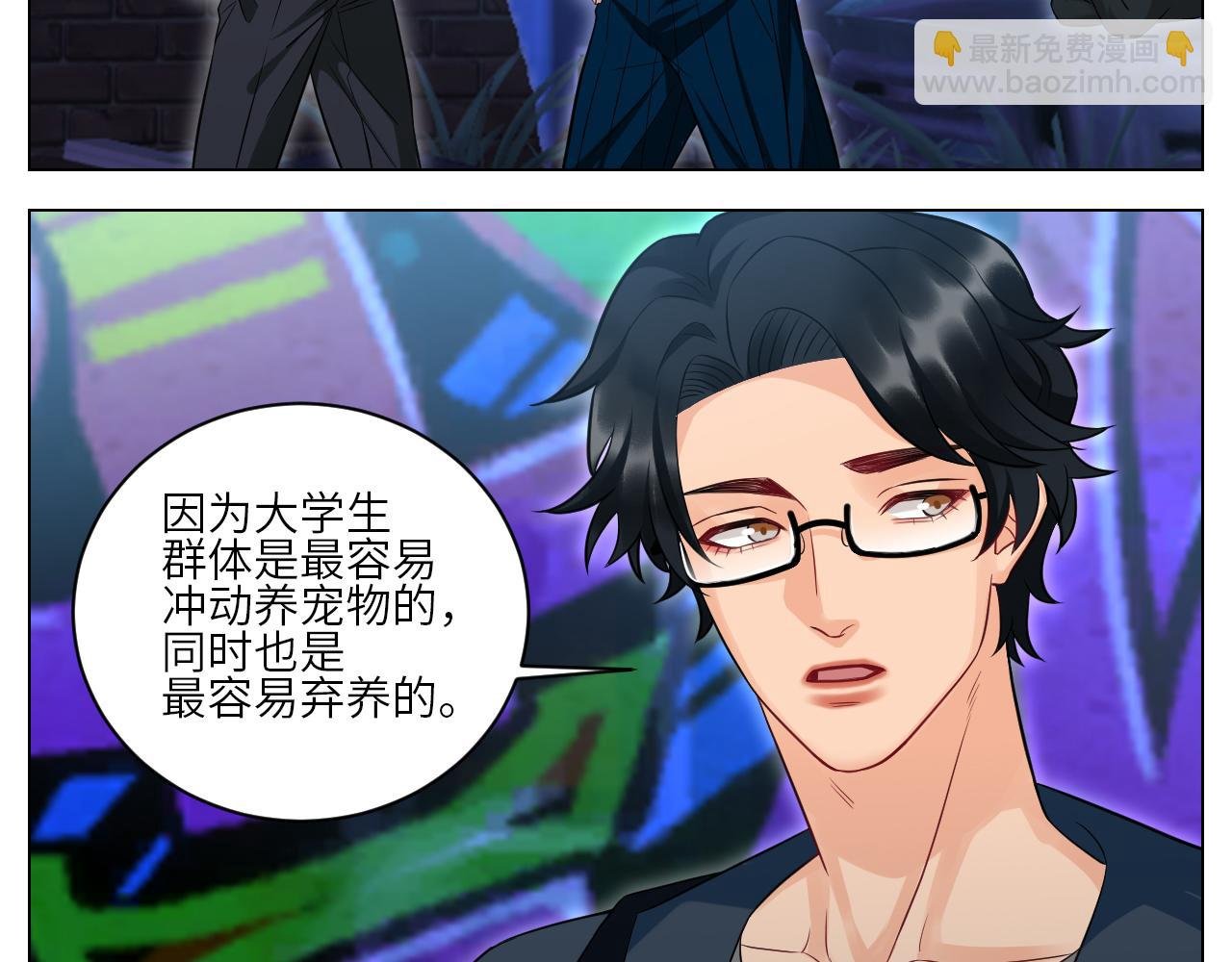 找到的可不止小猫咪