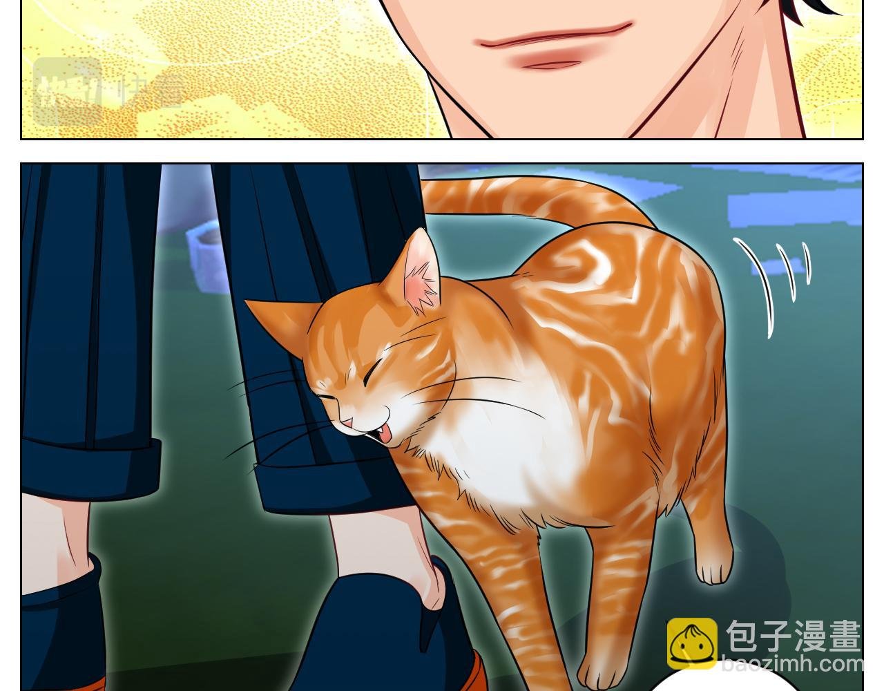 找到的可不止小猫咪