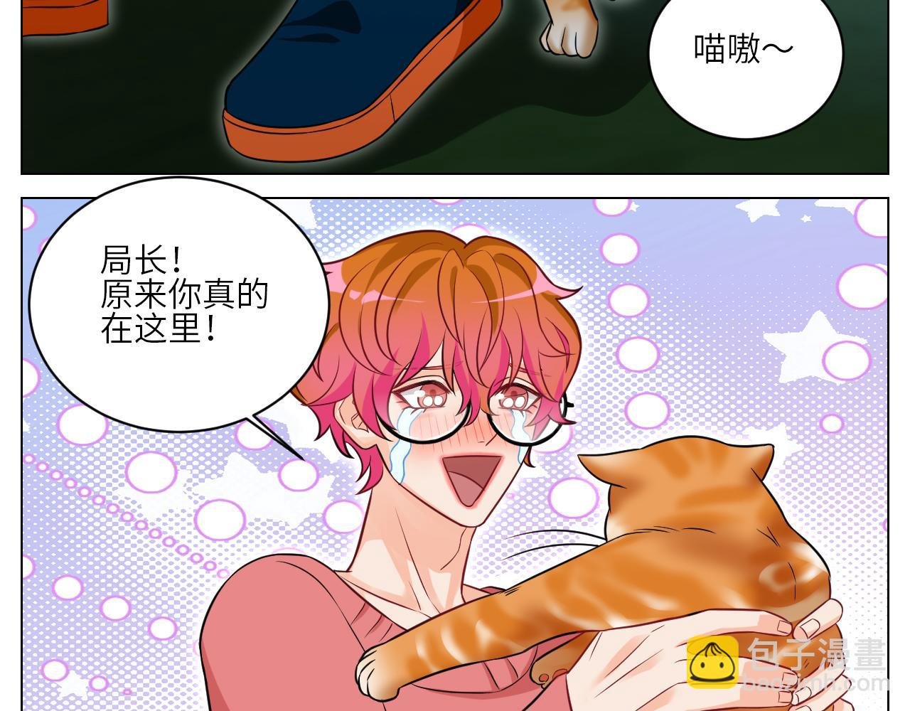 找到的可不止小猫咪