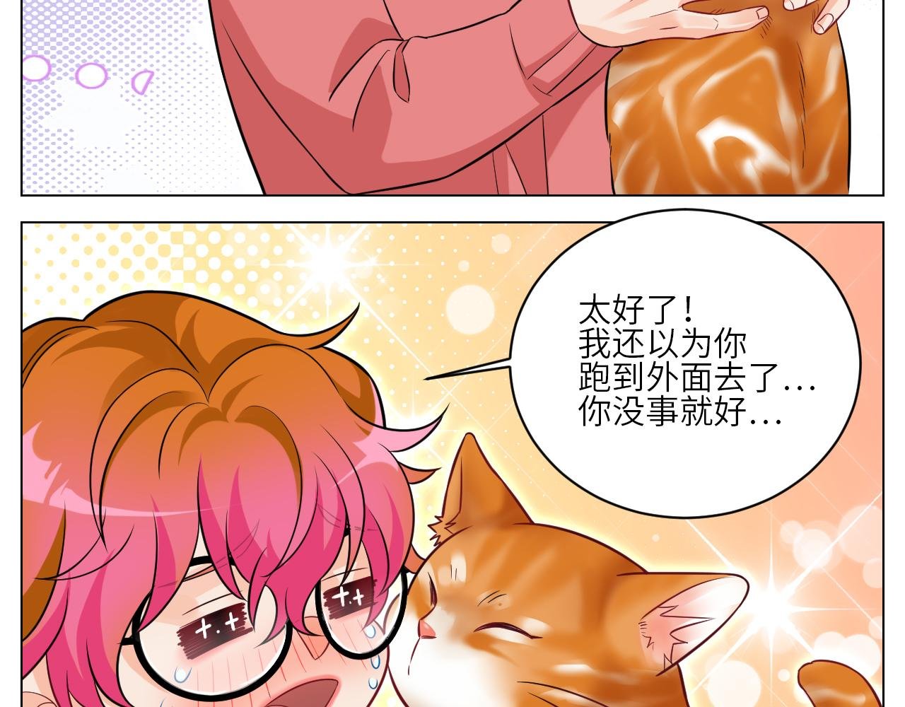 找到的可不止小猫咪