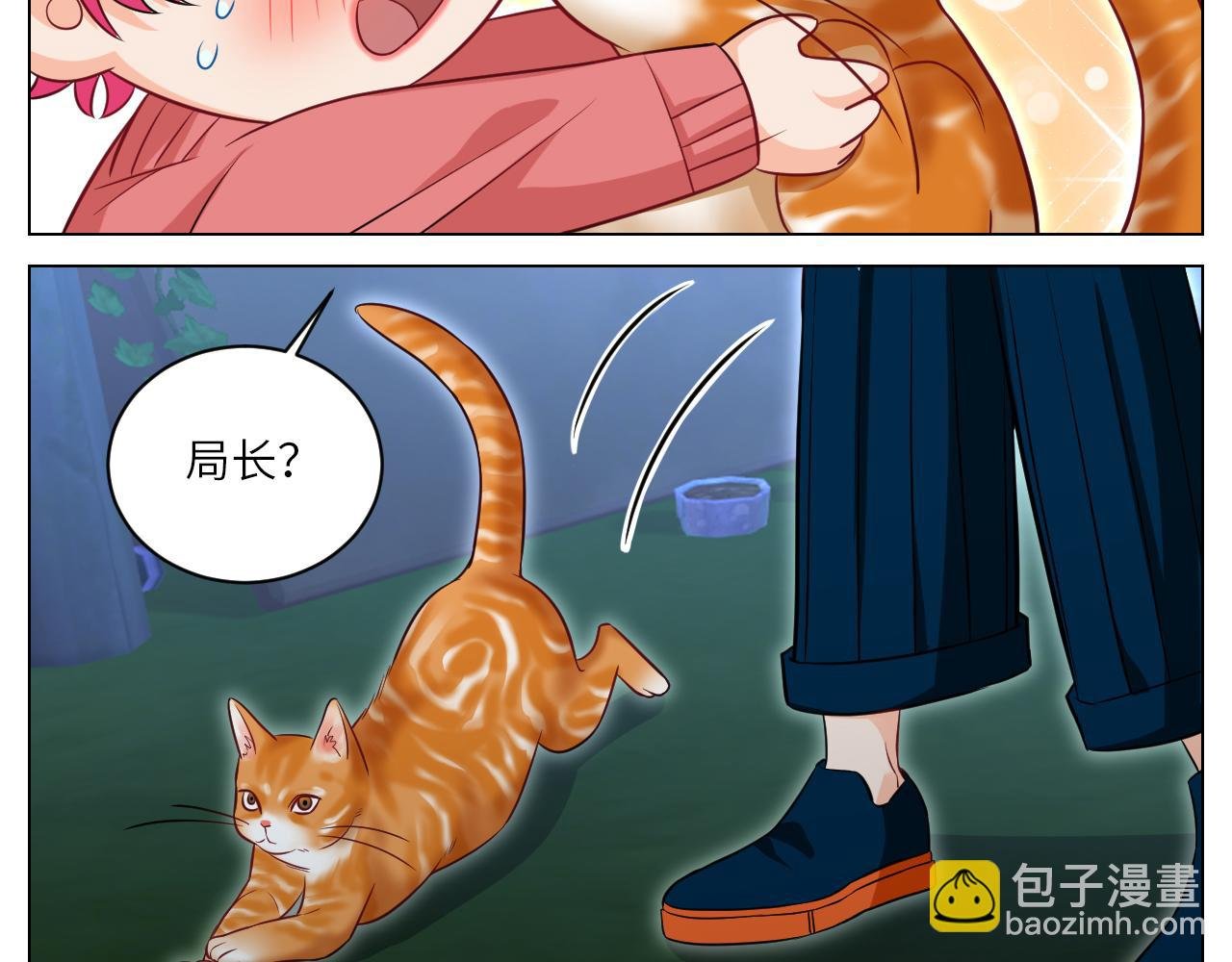 找到的可不止小猫咪