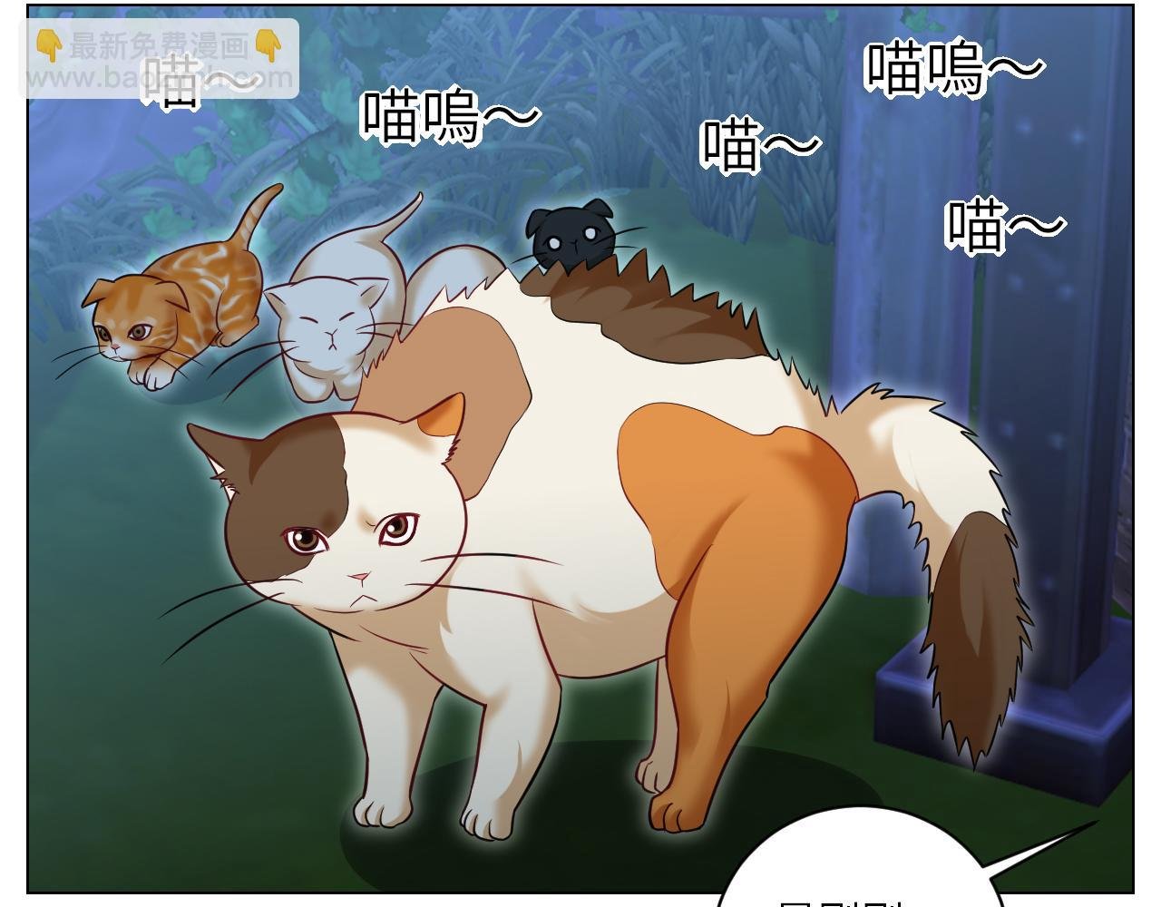 找到的可不止小猫咪
