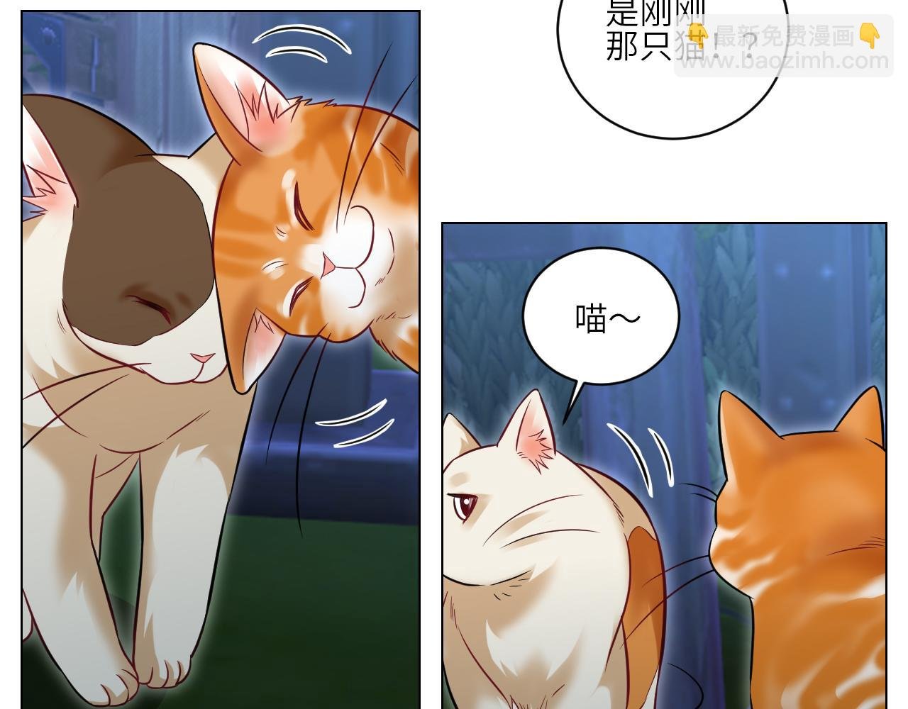 找到的可不止小猫咪