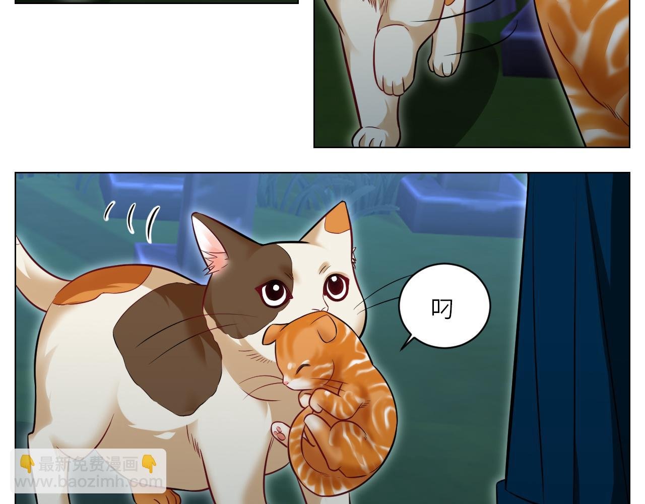找到的可不止小猫咪