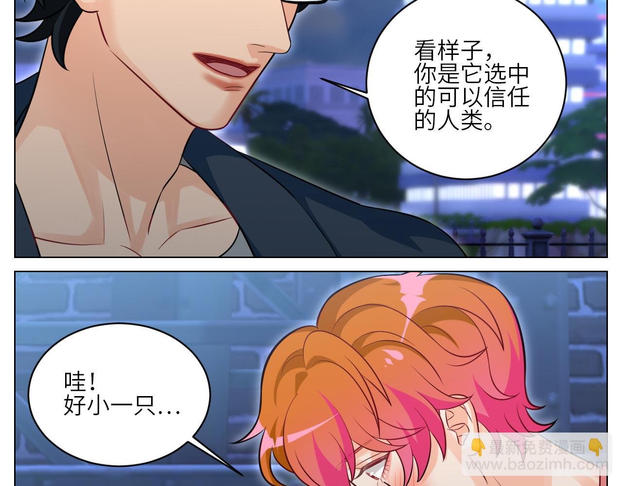 找到的可不止小猫咪
