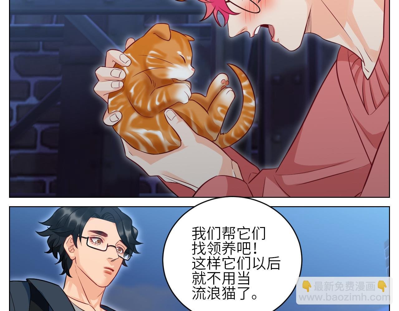 找到的可不止小猫咪