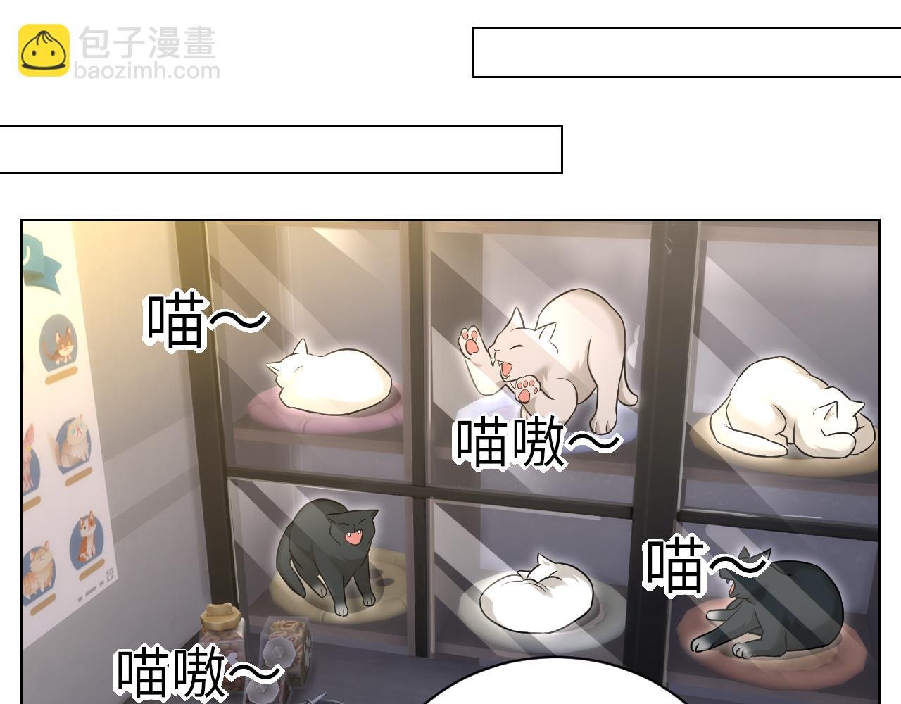 找到的可不止小猫咪