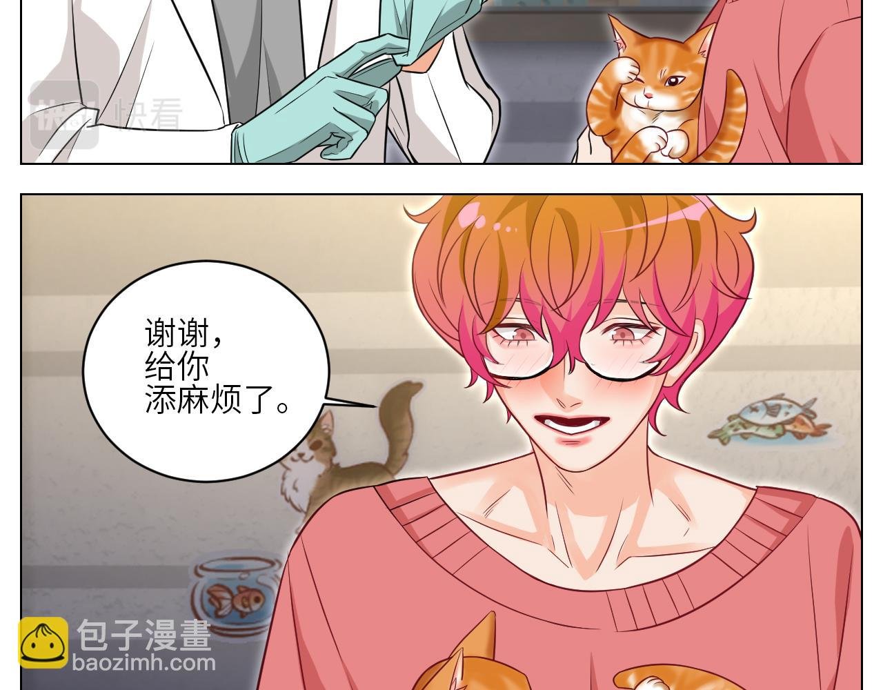 找到的可不止小猫咪