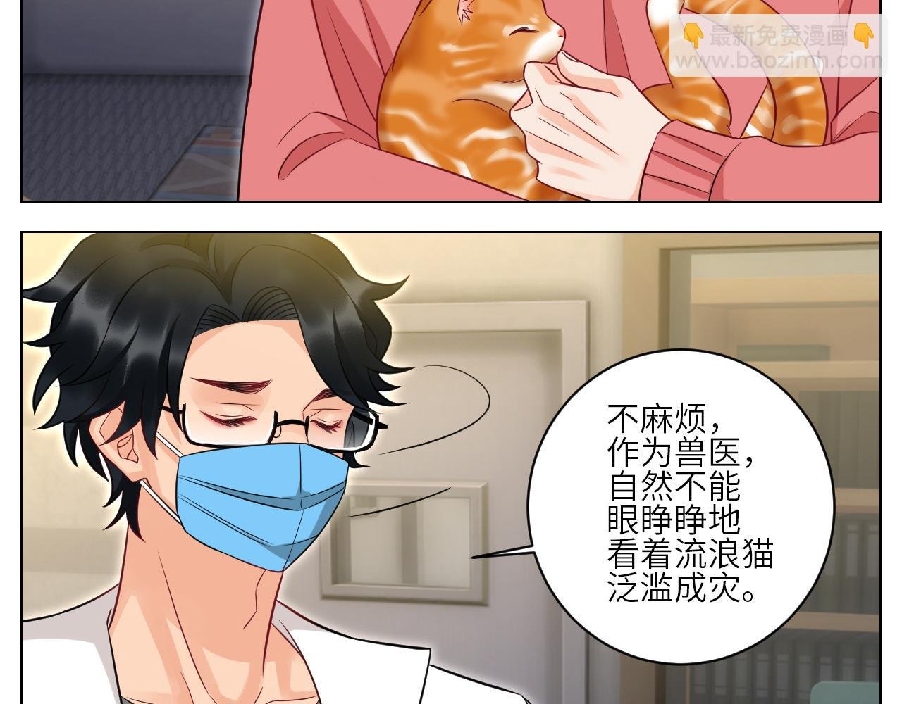 找到的可不止小猫咪