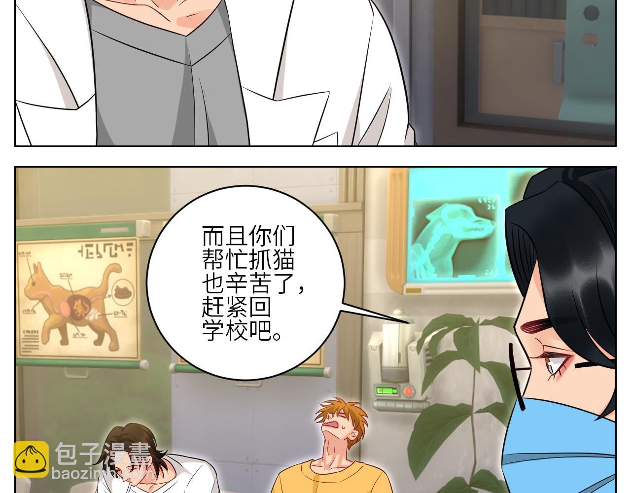 找到的可不止小猫咪