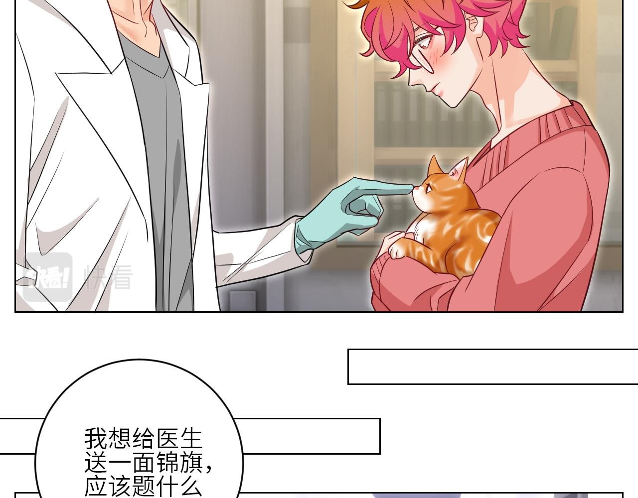 找到的可不止小猫咪