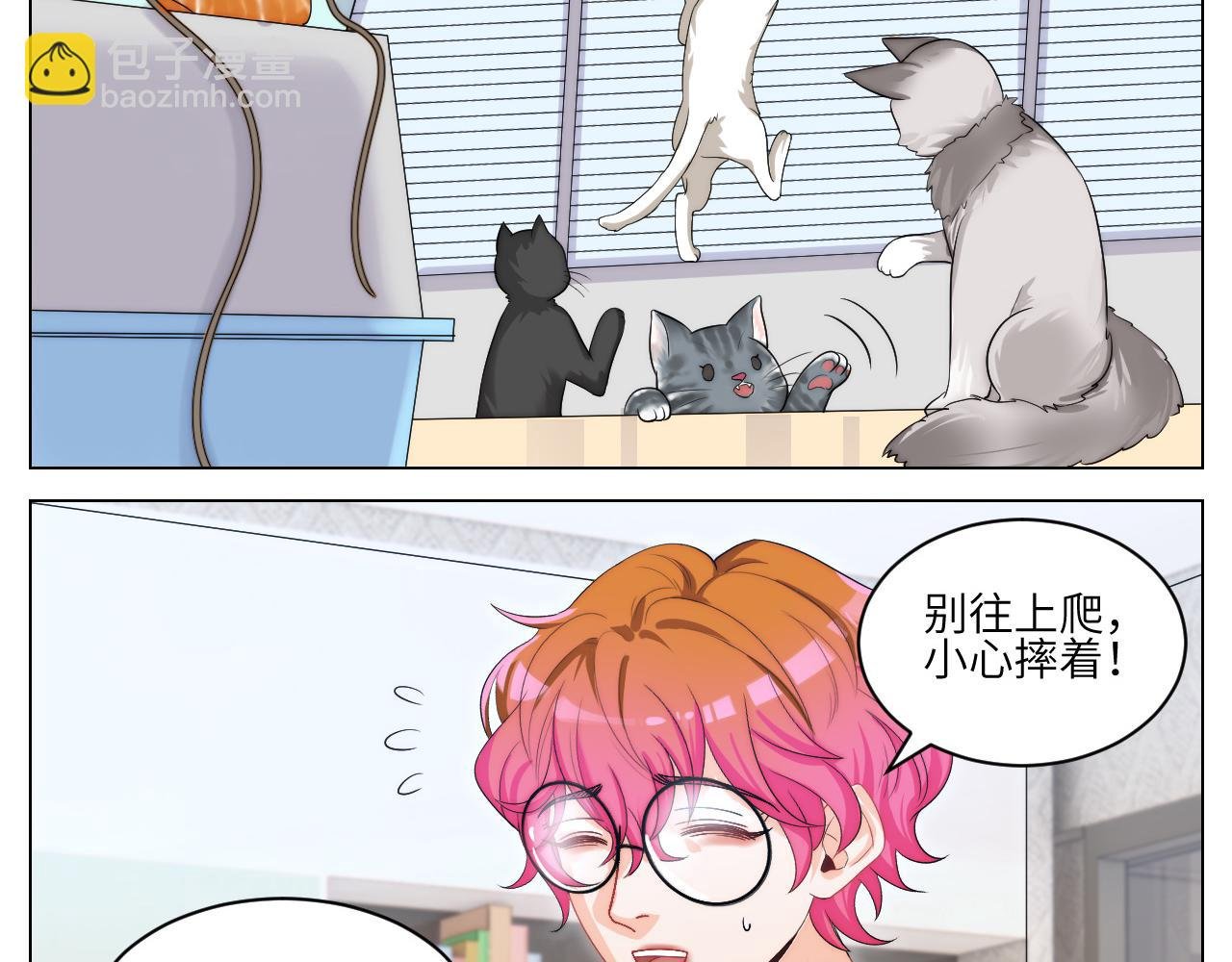 小猫咪们的小护士