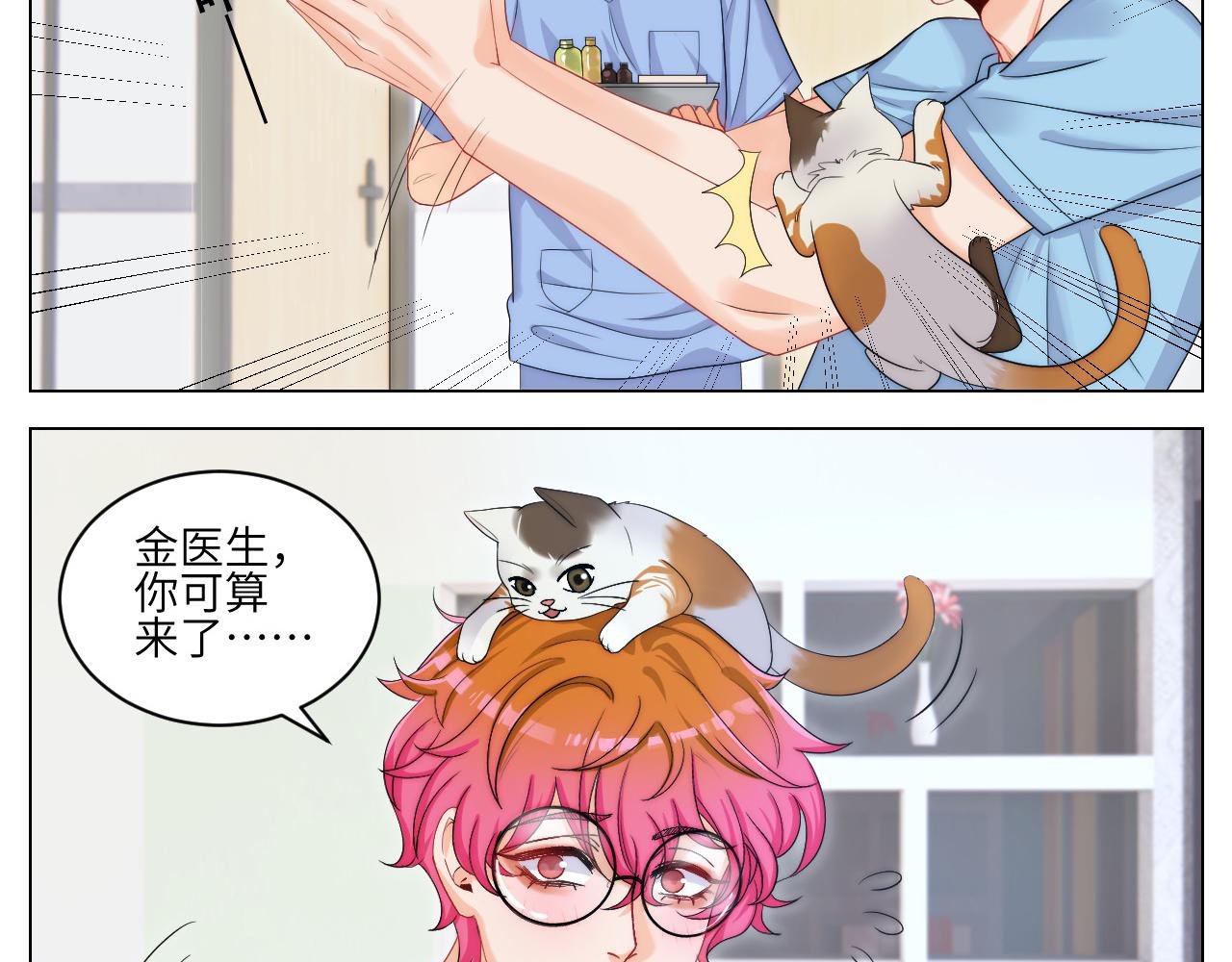 小猫咪们的小护士