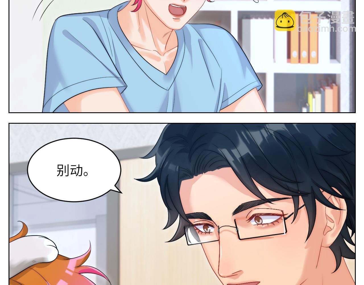 小猫咪们的小护士
