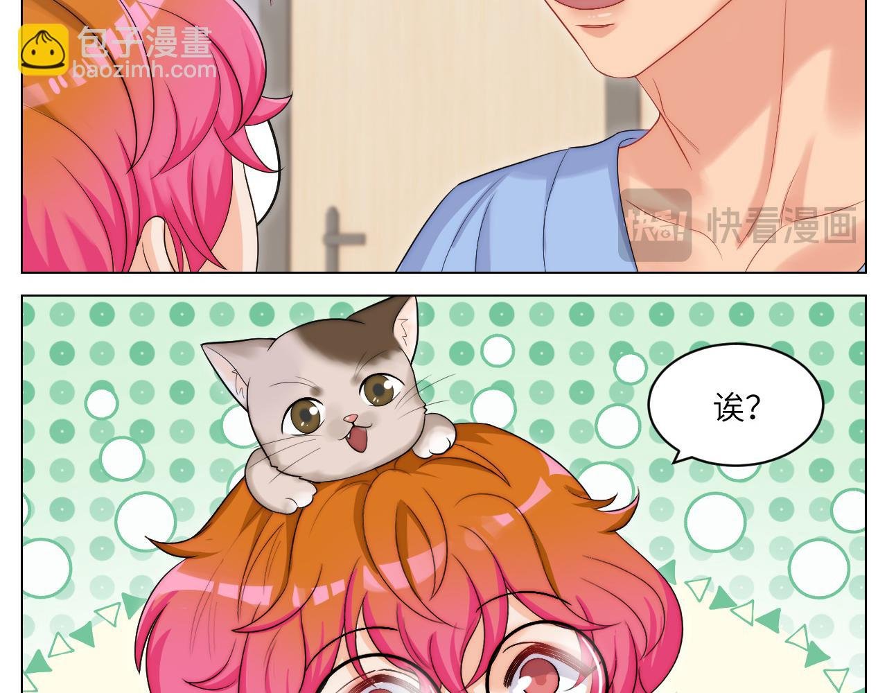 小猫咪们的小护士