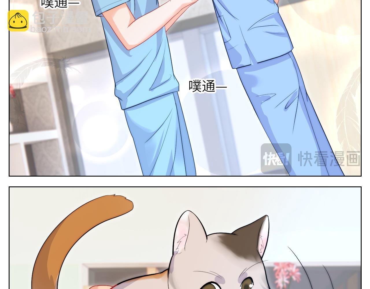小猫咪们的小护士