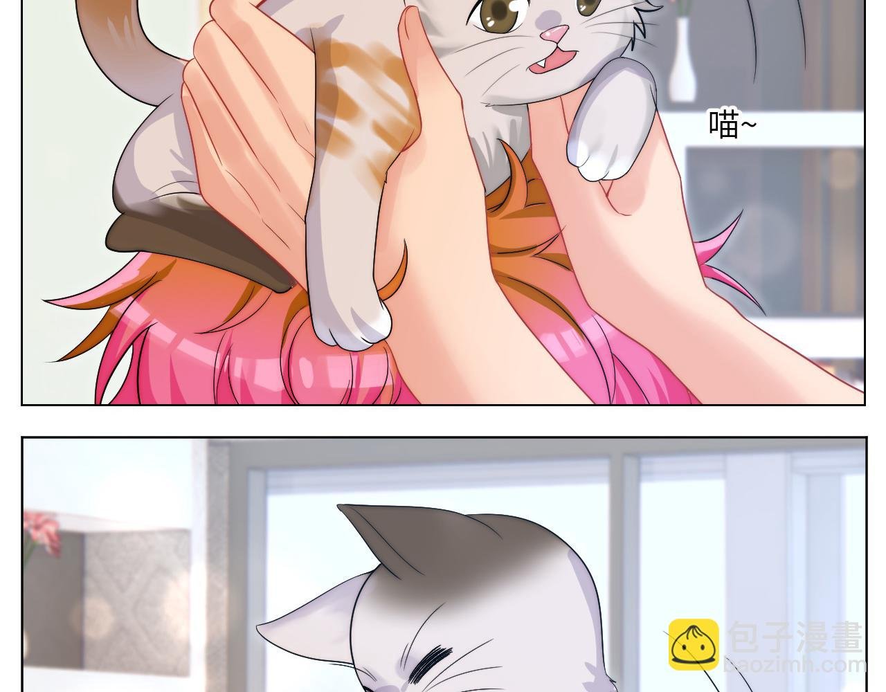 小猫咪们的小护士