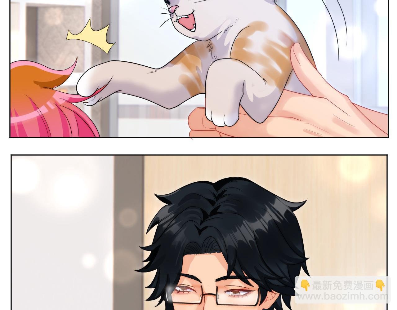 小猫咪们的小护士