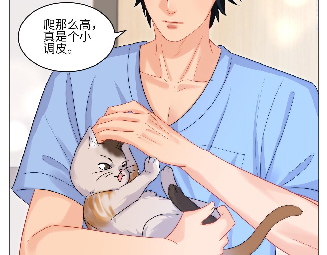 小猫咪们的小护士