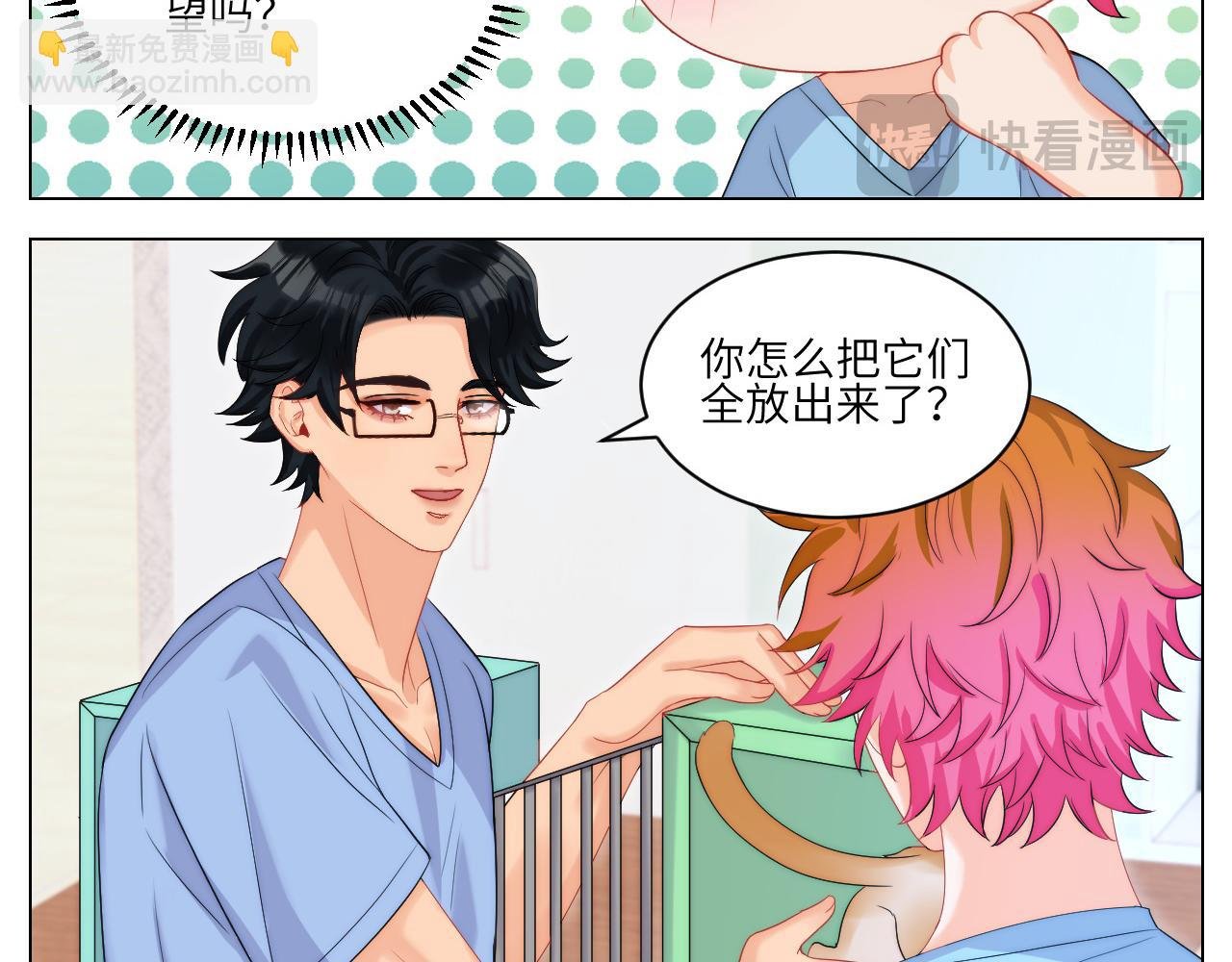 小猫咪们的小护士