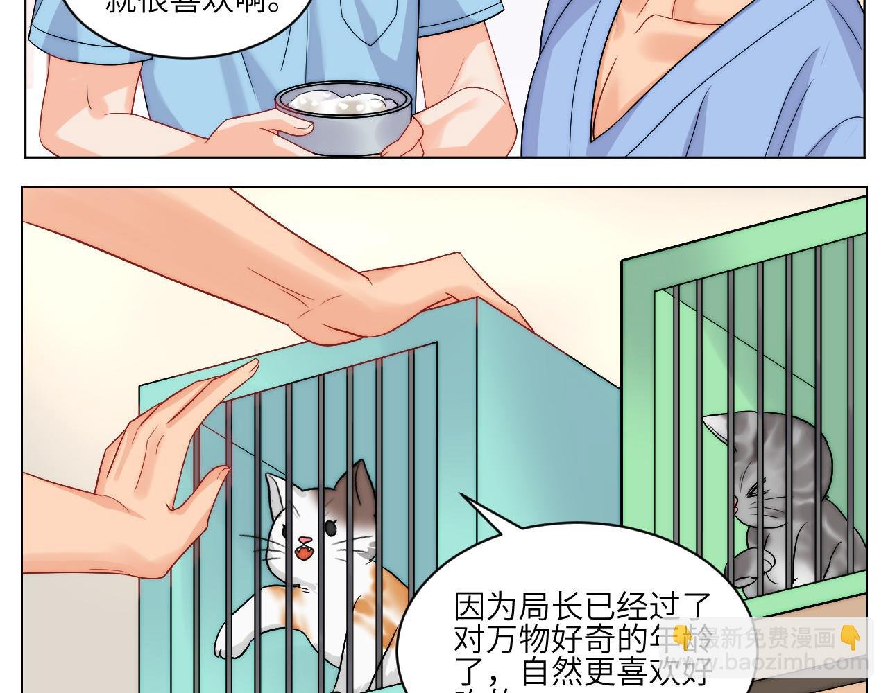 小猫咪们的小护士