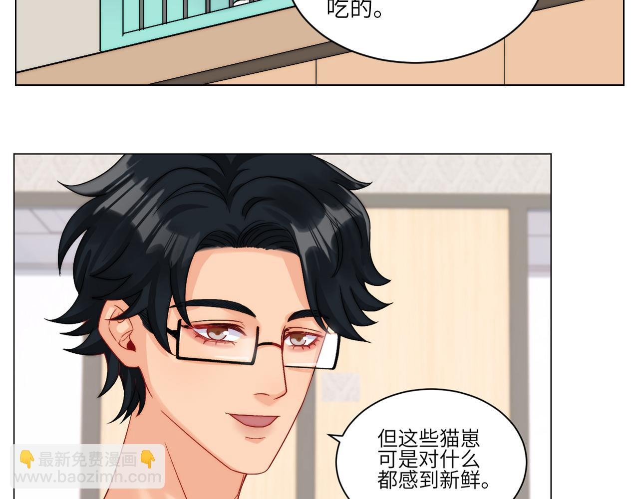 小猫咪们的小护士