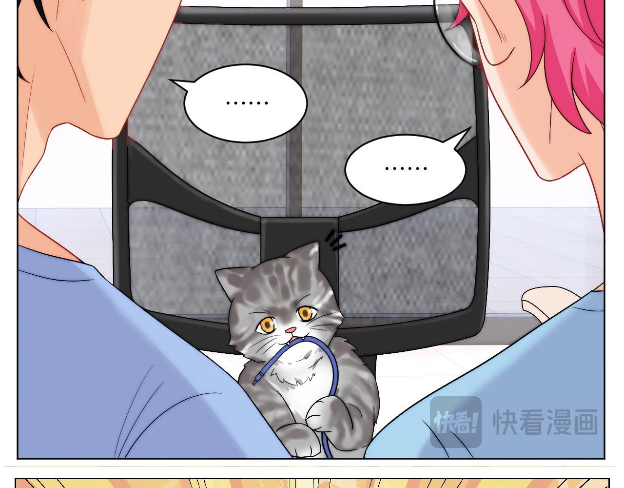 小猫咪们的小护士