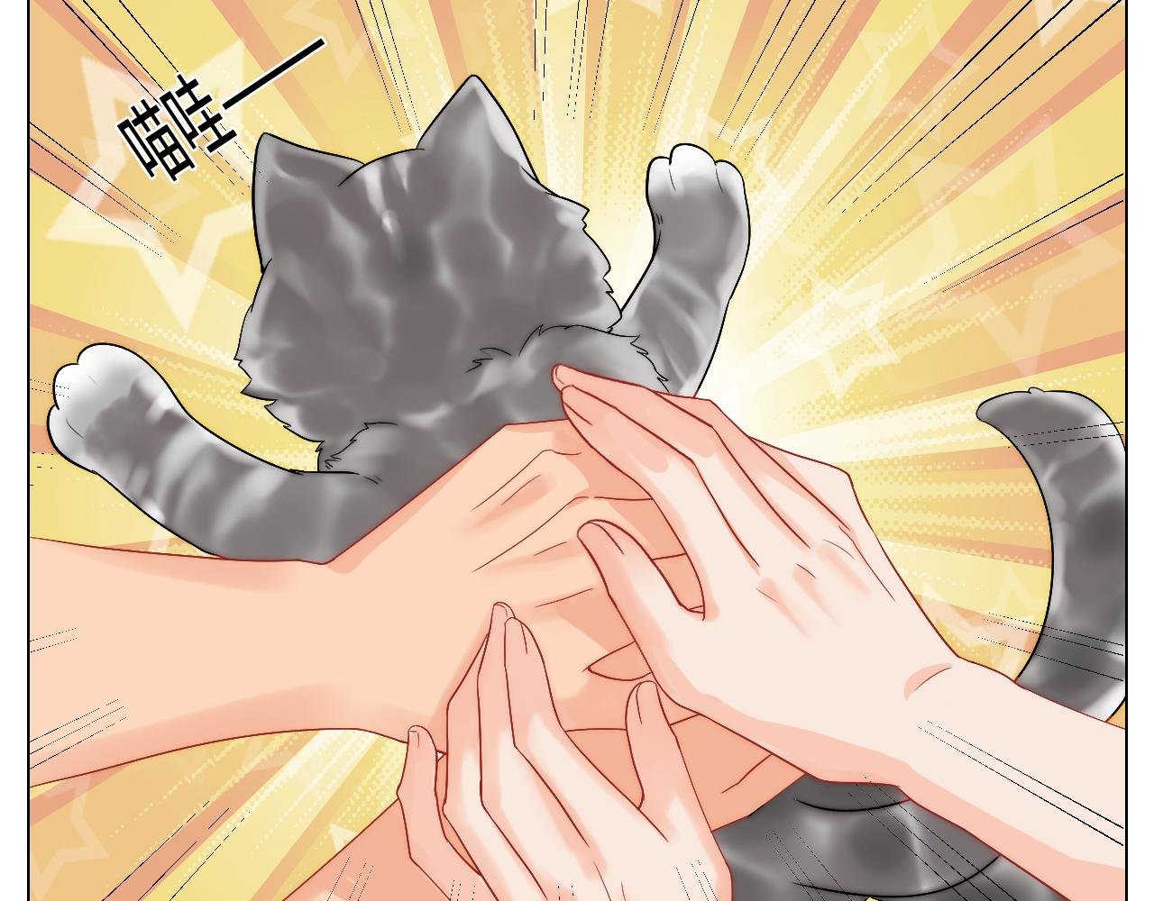 小猫咪们的小护士