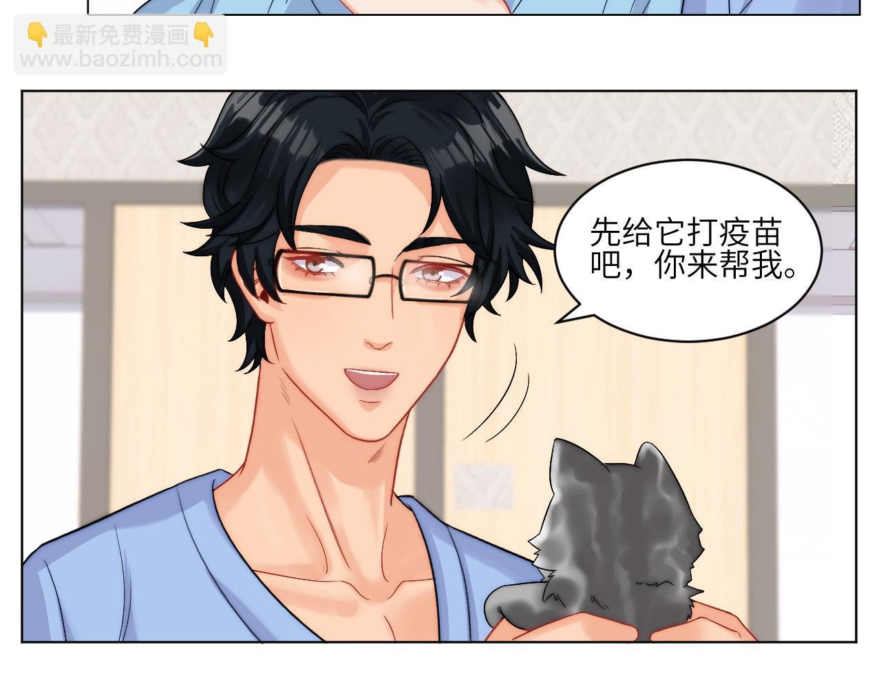 小猫咪们的小护士