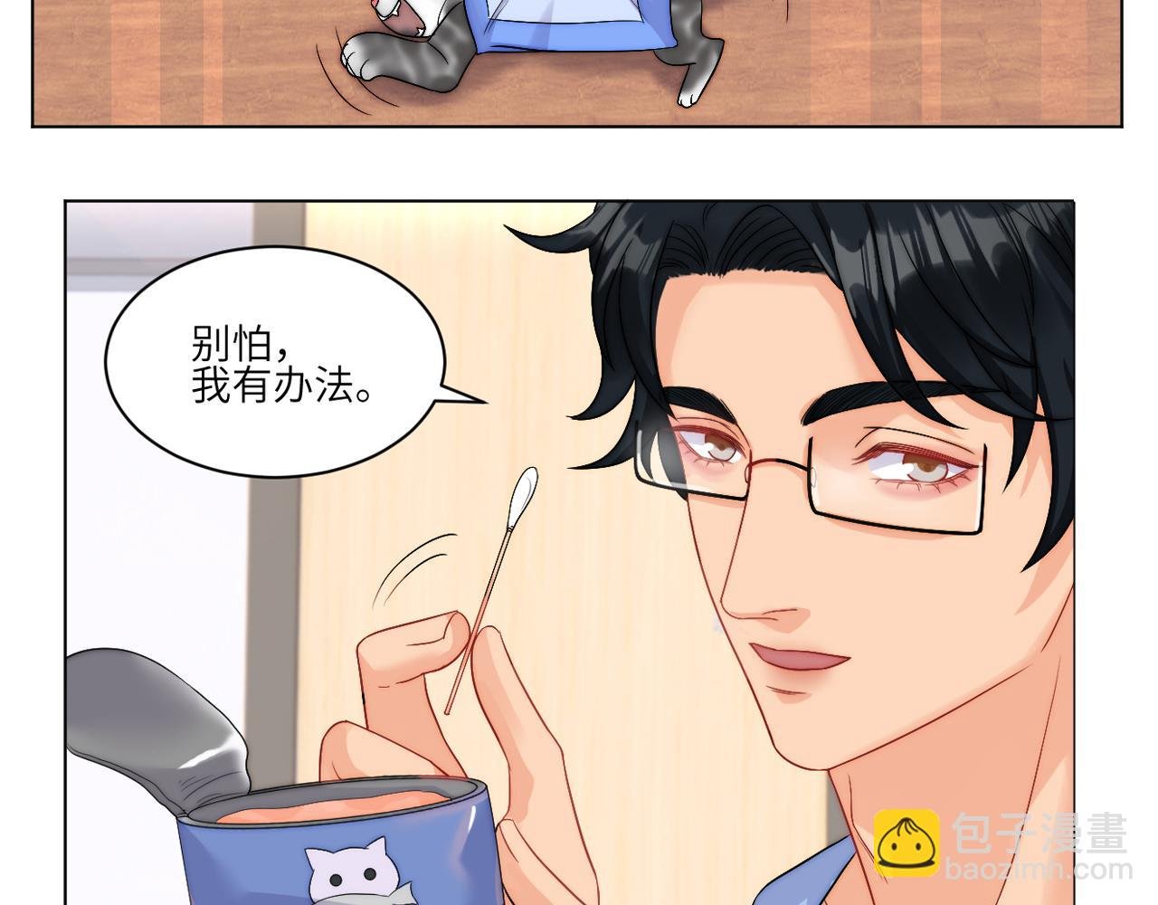 小猫咪们的小护士
