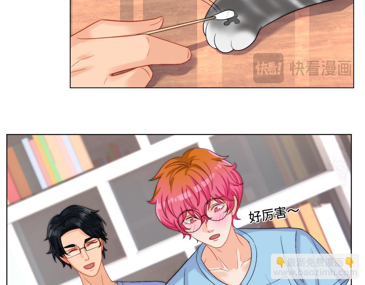 小猫咪们的小护士