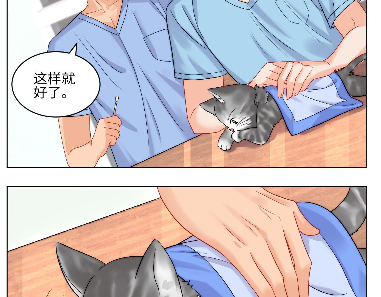 小猫咪们的小护士