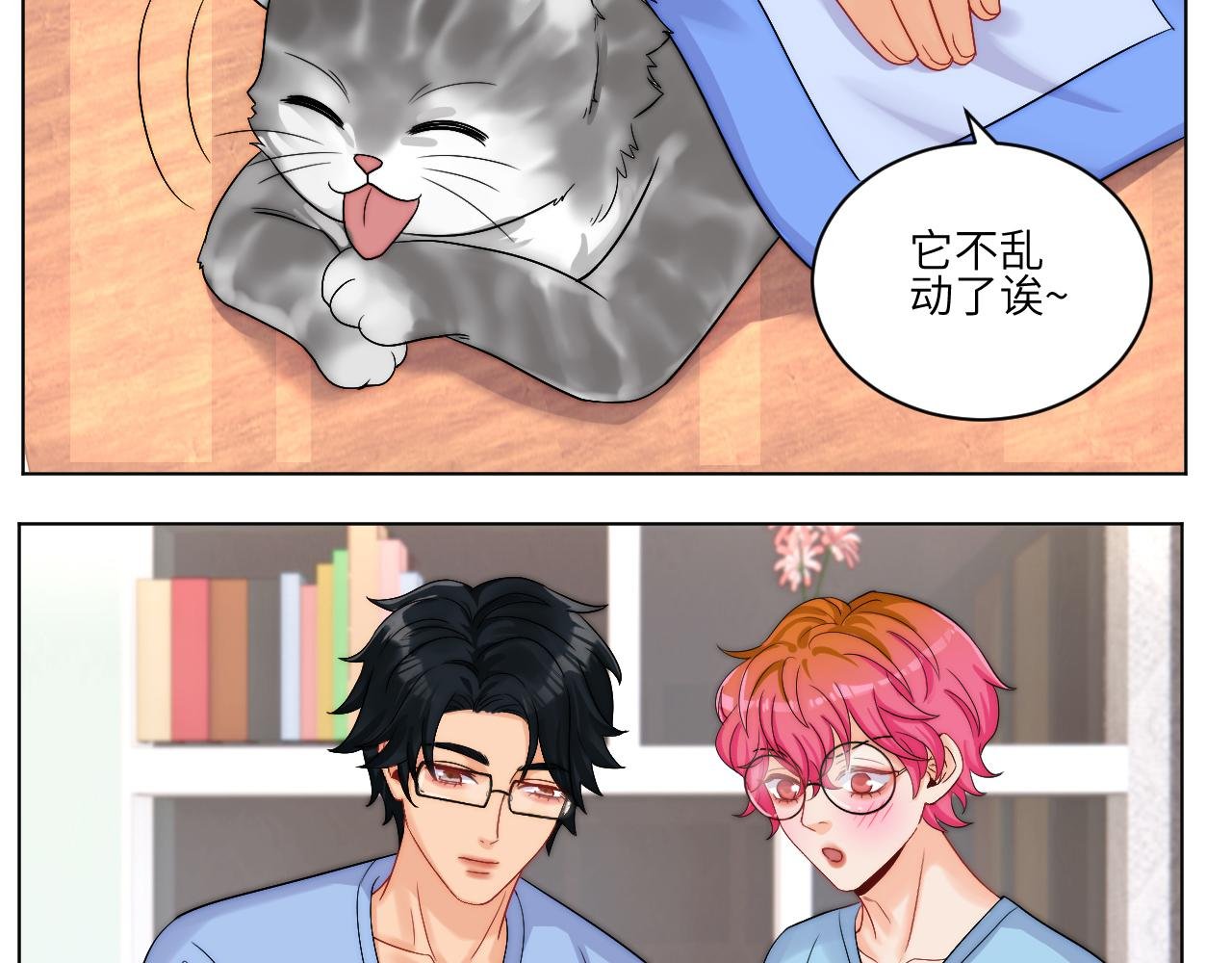 小猫咪们的小护士