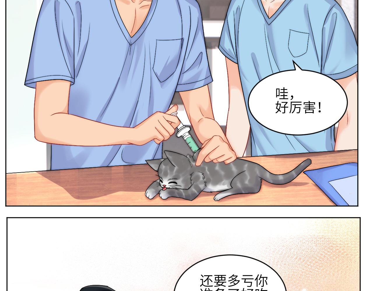小猫咪们的小护士