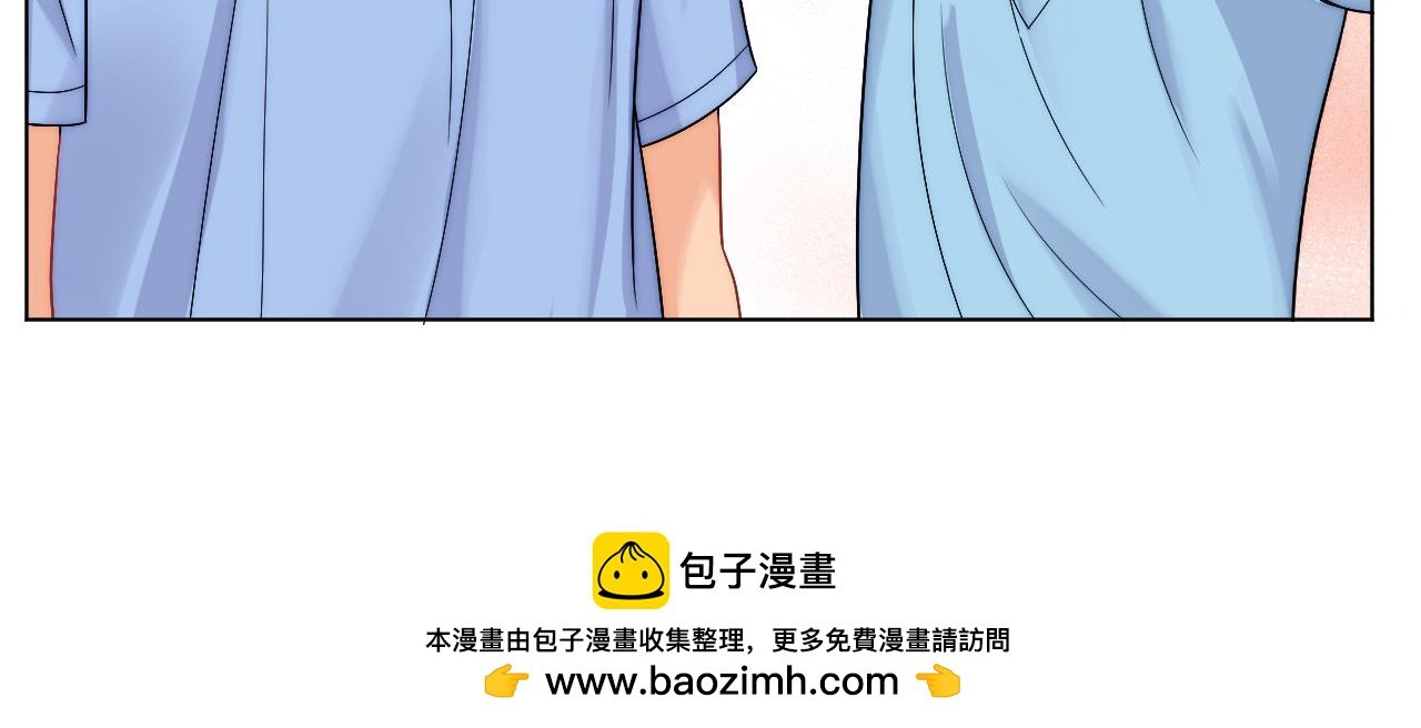 小猫咪们的小护士