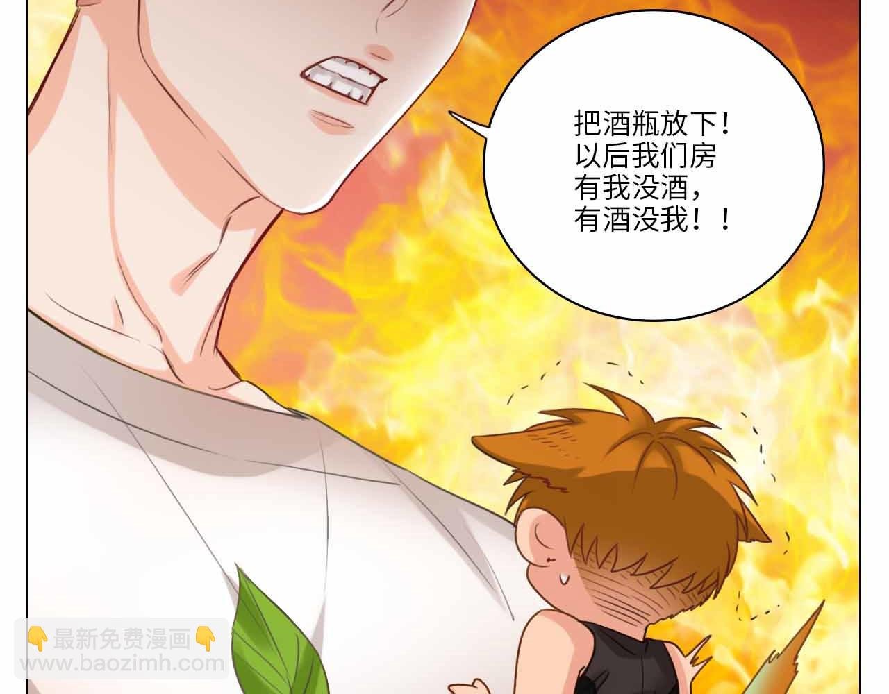 猫奴