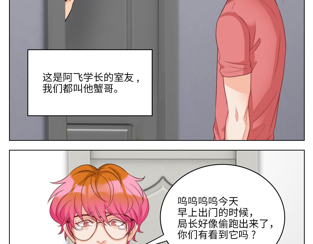 猫奴