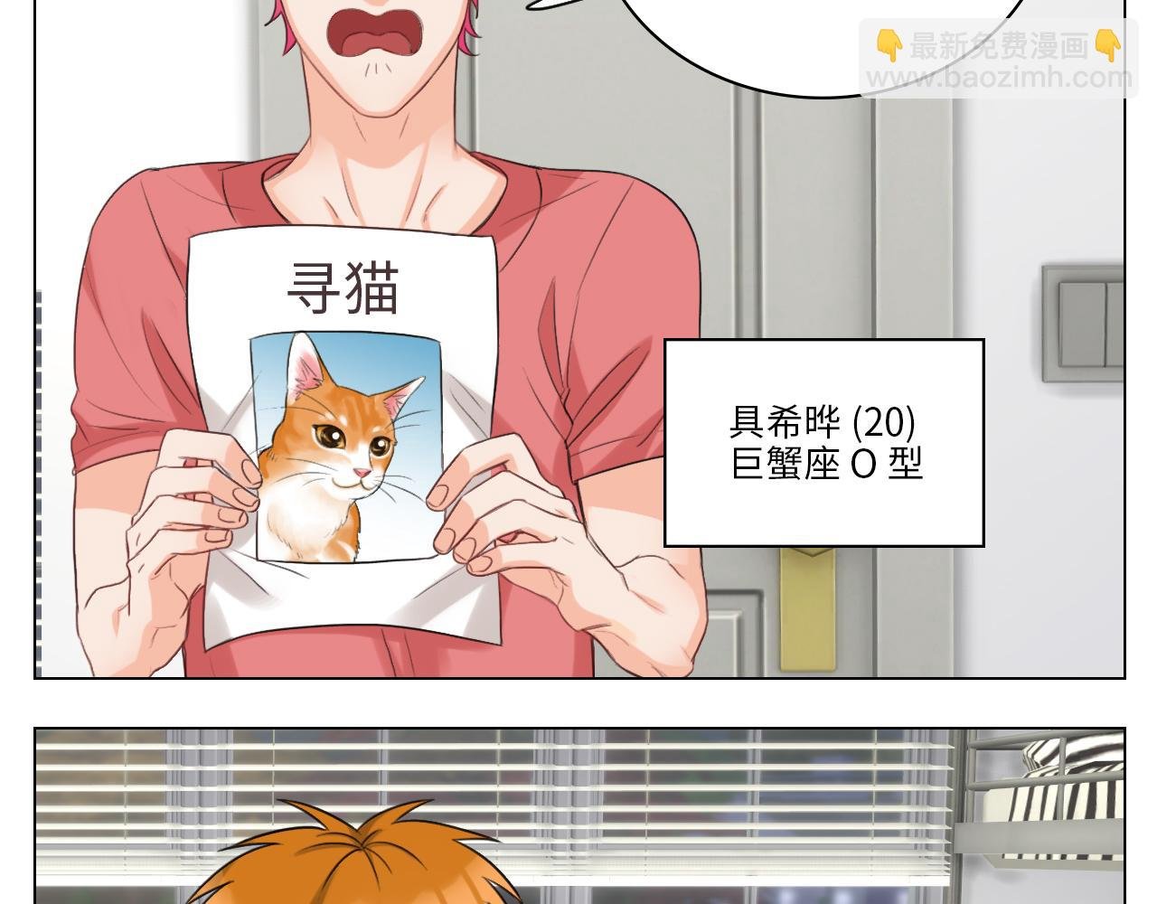 猫奴