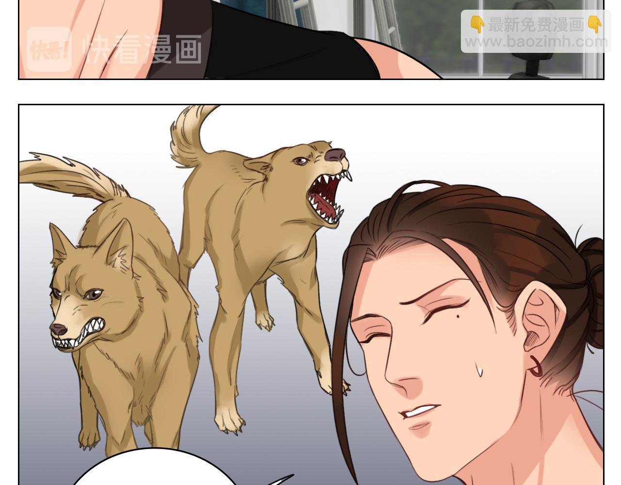 猫奴