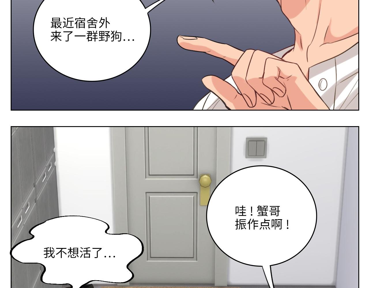 猫奴