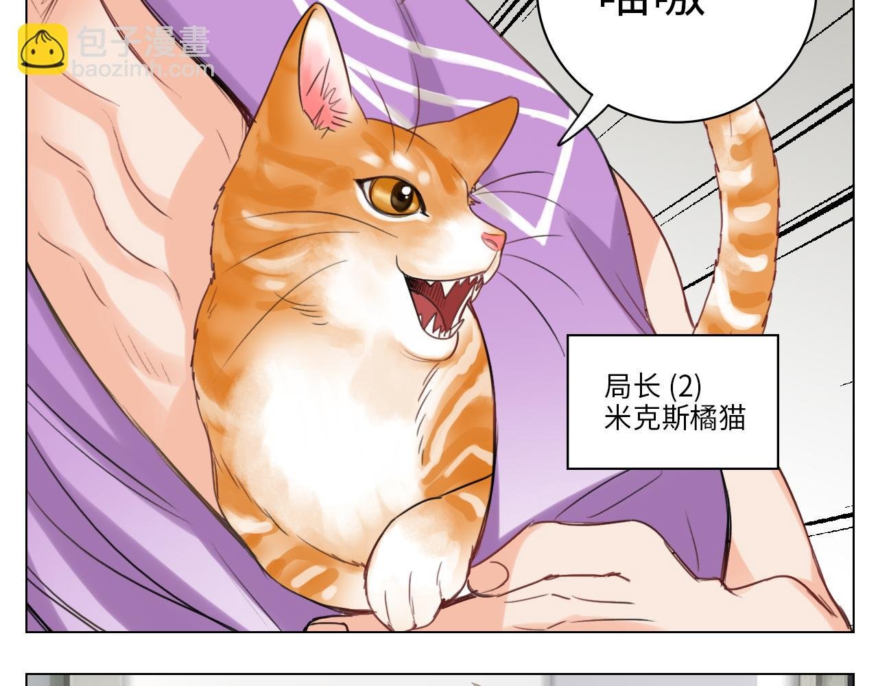 猫奴