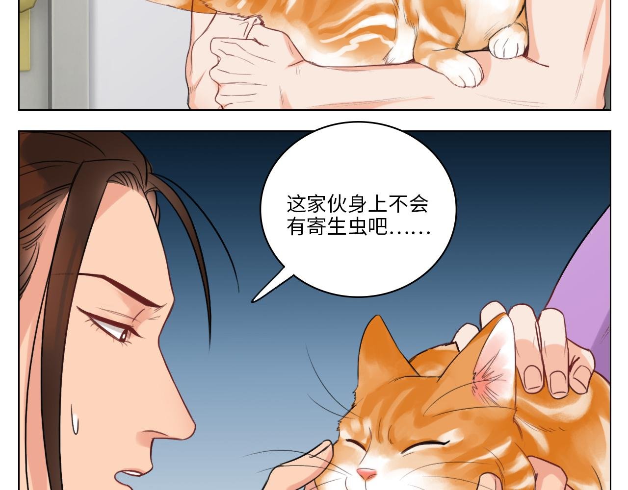 猫奴