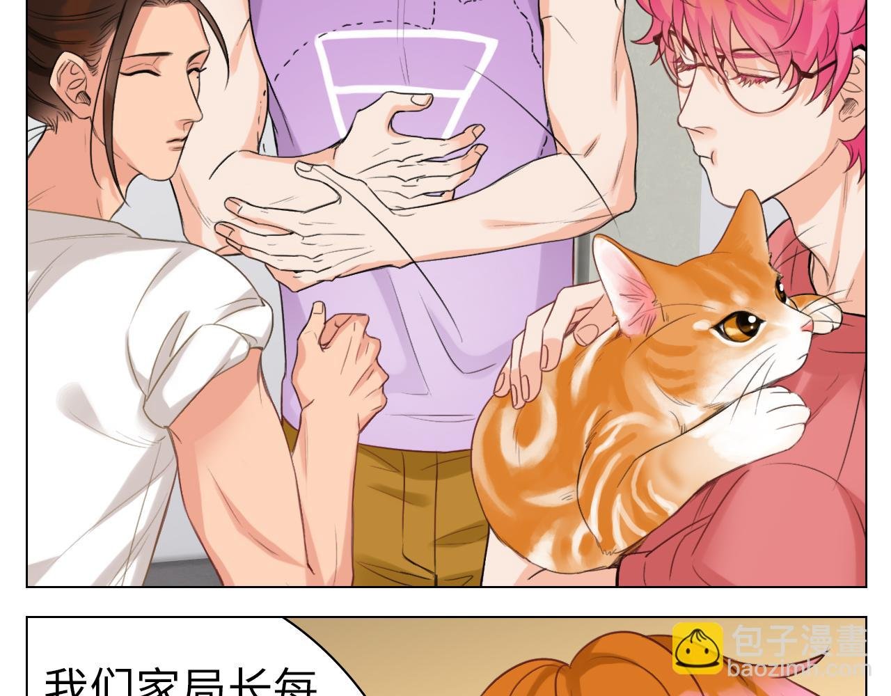 猫奴