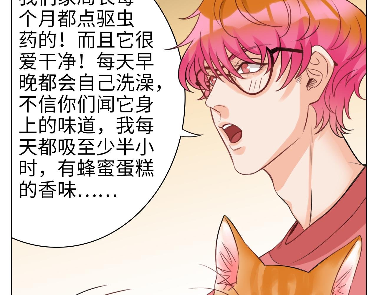 猫奴